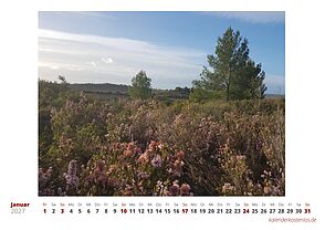Fotokalender Querformat